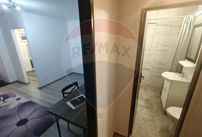 Apartament cu o camera de inchiriat Vlad Tepes - 8