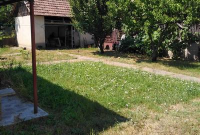 Casă cu 4 camere în Petid - 5