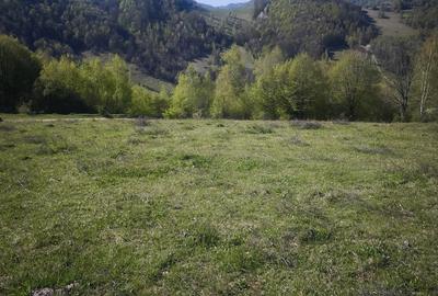 Teren de 3510 mp, în Central - 3