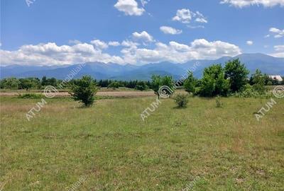 Teren Construcții intravilan de 5000 mp, în Central