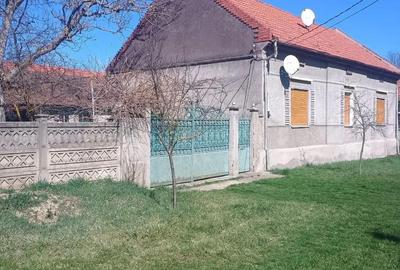 Casă cu 3 camere cu Teren 3000 Mp în Căpăt - 4