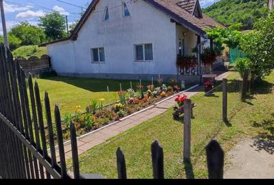 Vand Casa Vand Casa - 1