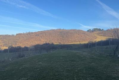 Spațiu comercial, în Rășinari