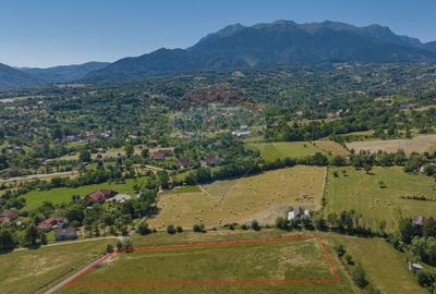 Teren Bran -Sohodol, Strada La mesteceni, 6900mp - 1