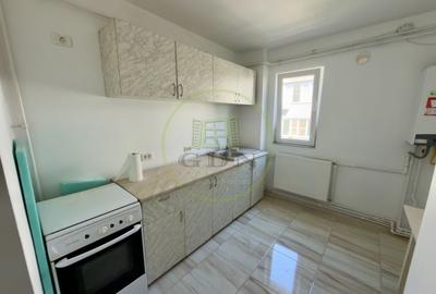 Apartament cu 2 camere semidecomandat, mobilat în Brazda lui Novac - 5