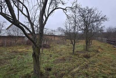 Casă cu Teren 6330 Mp în Poienari - 1