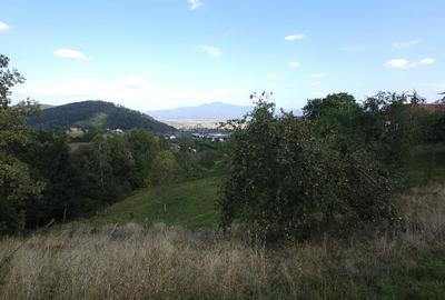 Teren Construcții intravilan de 1618 mp, în Brebina - 5