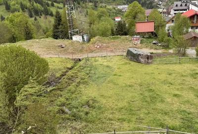 Teren de 2770 mp, în Est - 4