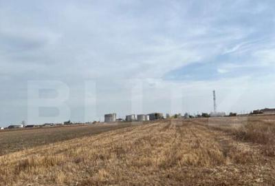 Teren 5000 mp intravilan in Ghercesti - 1