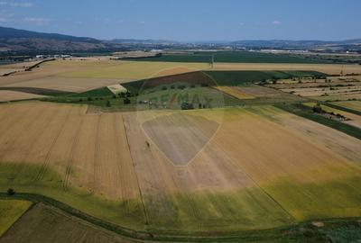 Teren Construcții intravilan de 10000 mp, în Vințu de Jos - 3