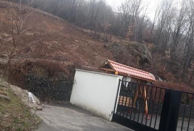 Viilor, 20 ari teren - 2