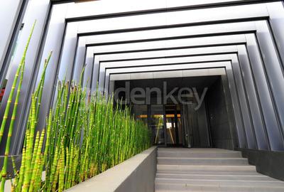 Apartament cu 3 camere decomandat, mobilat în Floreasca - 19