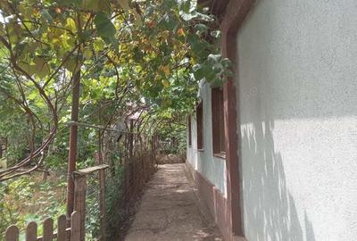 Casa de vanzare+1000 mp teren, la tara - 9