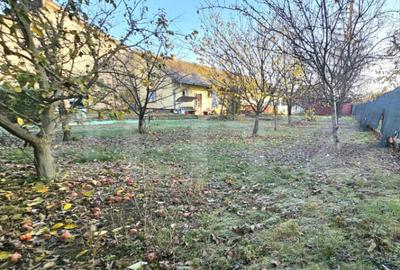 Teren Intravilan + Casa, 2 fronturi, Calea Bogdanesti - 13