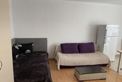 Garsonieră nedecomandată în Giurgiului - 3