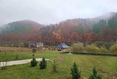 Proprietate cu potențial turistic în zona montană a Țării Lăpușului - 8