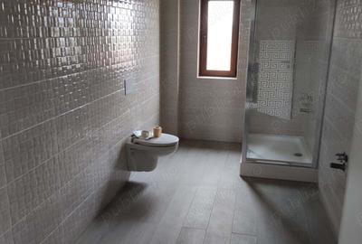 Casă cu 5 camere în Dumbrăvița - 2