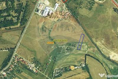 Teren de 4600 mp, în Podari - 2