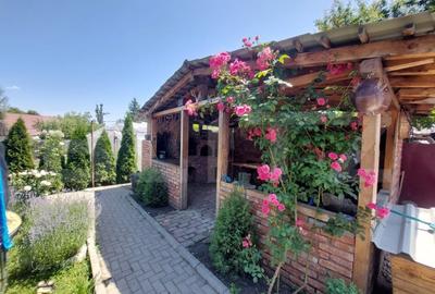 Vanzare casa impunatoare in Sacele - Confort, spatiu si traditie