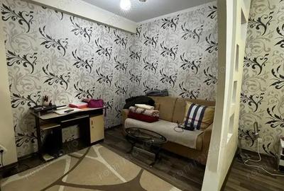 Apartament cu o camera de vanzare Sagului - 3