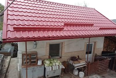 Casă cu 5 camere cu Teren 1007 Mp în Aranghel - 3