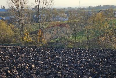 Teren agricol extravilan de 6100 mp, în Stroiești - 17