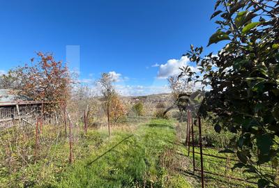 Casă individuală cu 4 camere cu Canalizare în Șeica Mare - 16