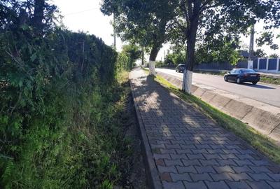 Teren de 10000 mp, în Central