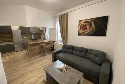 Apartament cu 2 camere semidecomandat în Lugoj - 2