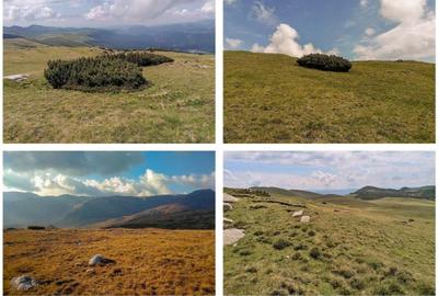 Teren Construcții intravilan de 628 mp, în Bolboci - 2