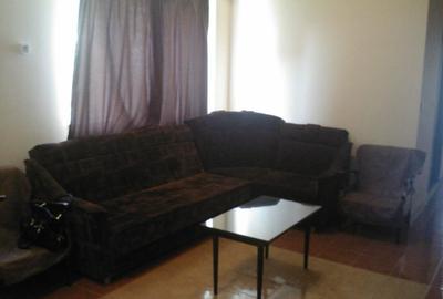 Apartament cu 2 camere semidecomandat, mobilat în Lipovei