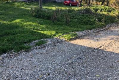 Casă cu 3 camere în Vânători