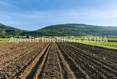 Teren de 4094 mp, în Șoimuș - 6