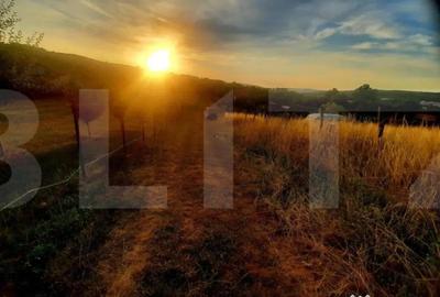 Teren de 1129 mp, în Borhanci