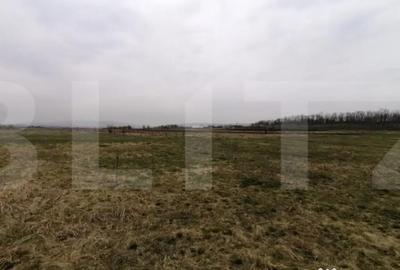 Teren de 750 mp, în Sopor - 2