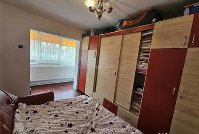 Apartament cu 2 camere nedecomandat în Calea Caransebeșului - 9