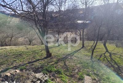 Casă cu 5 camere cu Teren 1195 Mp în Florești - 6