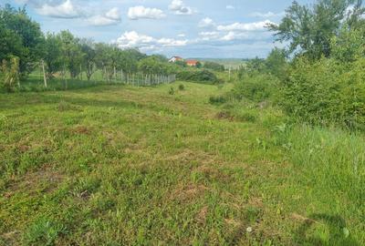 Teren Construcții intravilan de 1000 mp, în Daia - 7