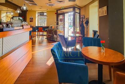Spatiu comercial SAD 105mp | Iosefin - 3