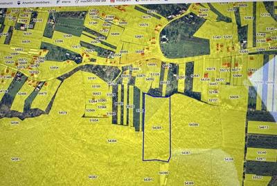 Teren agricol intravilan de 25961 mp, în Satu Nou de Jos - 5