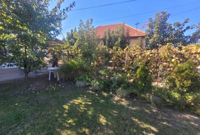 Casa individuala in zona muzicescu - 1