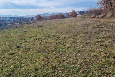 Spațiu comercial, în Petru Rareș - 1