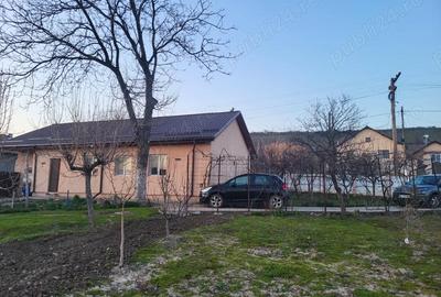 Casă cu 4 camere cu Teren 6000 Mp în Seaca - 10