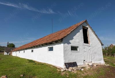 Casă în Pianu - 3