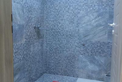 Spațiu comercial, de 330 mp, în Rogerius - 8