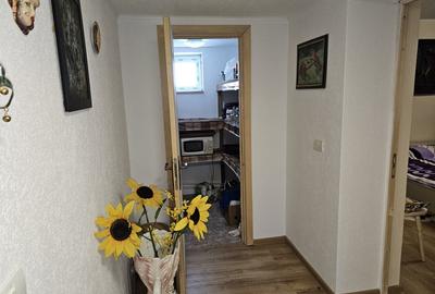 Casa la tara cu 3 camere suprafata utila 120mp, Suplacu de Tinca Bihor - 11