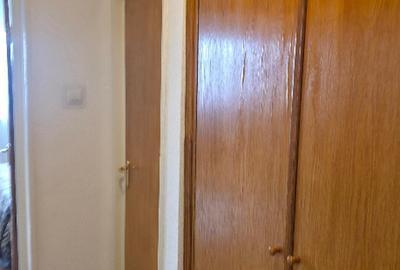 Garsonieră decomandată, mobilată în Unirii - 17