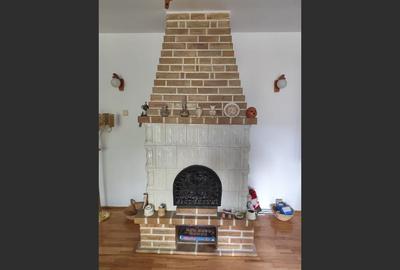 Vila superba 7 camere, Provita de Jos, 22.000 mp teren - 17