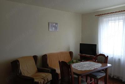 Apartament cu 2 camere semidecomandat în Gojdu - 3
