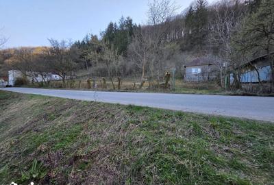 Casă cu 4 camere cu Teren 1887 Mp în Burjuc - 10